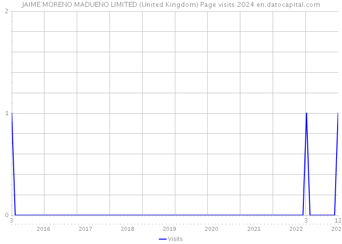 JAIME MORENO MADUENO LIMITED (United Kingdom) Page visits 2024 