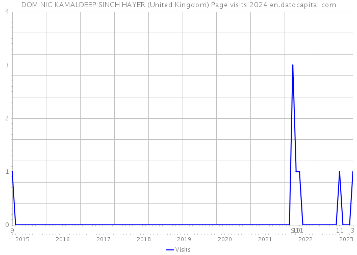 DOMINIC KAMALDEEP SINGH HAYER (United Kingdom) Page visits 2024 