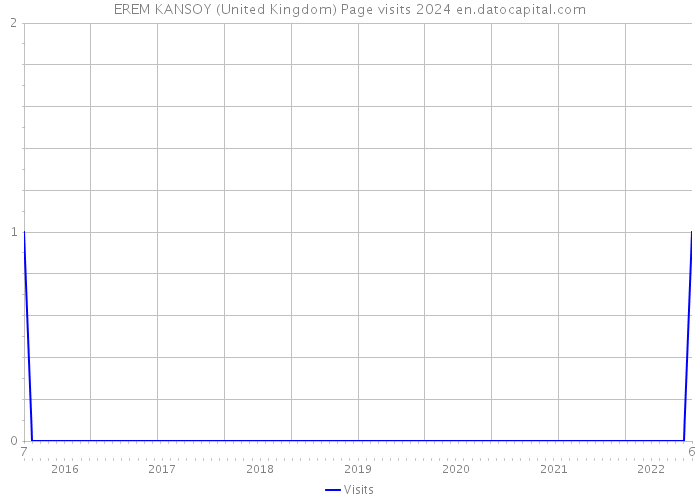 EREM KANSOY (United Kingdom) Page visits 2024 