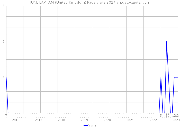 JUNE LAPHAM (United Kingdom) Page visits 2024 