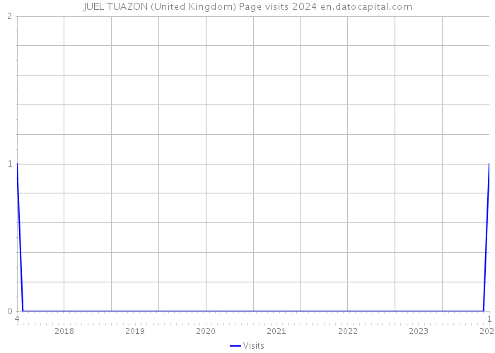 JUEL TUAZON (United Kingdom) Page visits 2024 