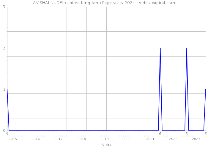 AVISHAI NUDEL (United Kingdom) Page visits 2024 