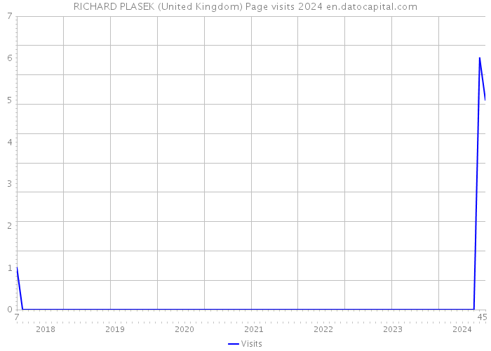 RICHARD PLASEK (United Kingdom) Page visits 2024 