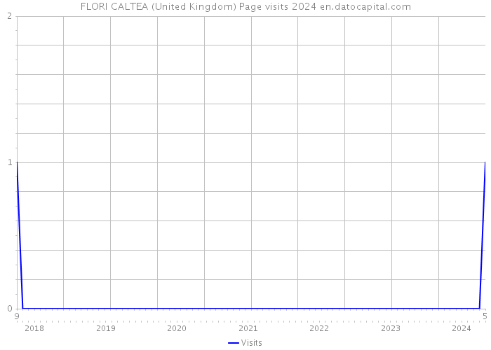 FLORI CALTEA (United Kingdom) Page visits 2024 