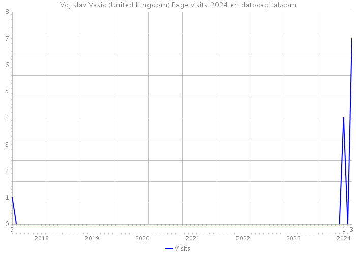 Vojislav Vasic (United Kingdom) Page visits 2024 