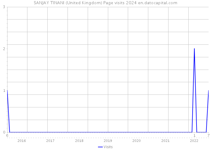 SANJAY TINANI (United Kingdom) Page visits 2024 