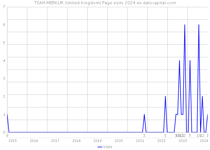 TSAH MERKUR (United Kingdom) Page visits 2024 