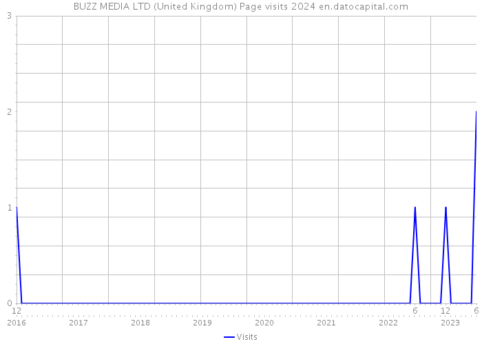 BUZZ MEDIA LTD (United Kingdom) Page visits 2024 