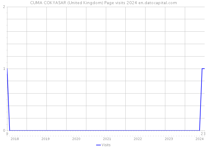 CUMA COKYASAR (United Kingdom) Page visits 2024 