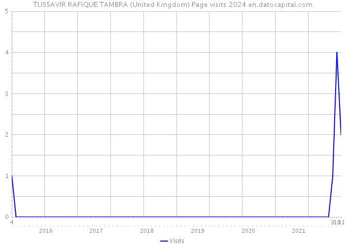TUSSAVIR RAFIQUE TAMBRA (United Kingdom) Page visits 2024 