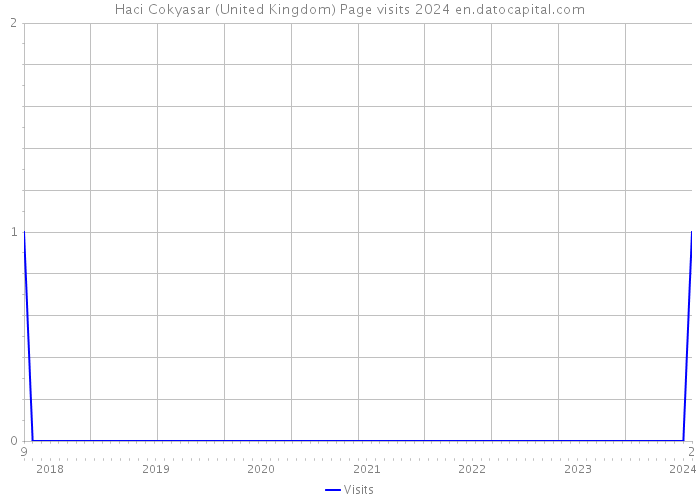 Haci Cokyasar (United Kingdom) Page visits 2024 