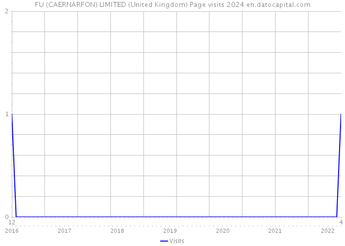 FU (CAERNARFON) LIMITED (United Kingdom) Page visits 2024 
