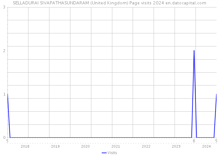 SELLADURAI SIVAPATHASUNDARAM (United Kingdom) Page visits 2024 