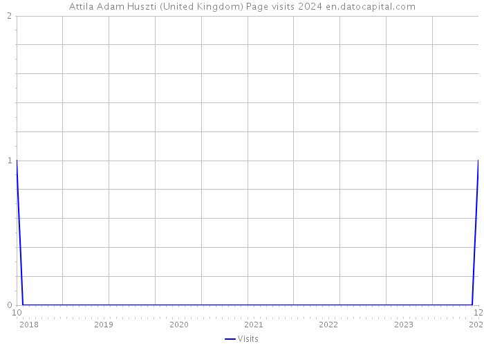 Attila Adam Huszti (United Kingdom) Page visits 2024 