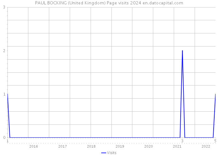 PAUL BOCKING (United Kingdom) Page visits 2024 
