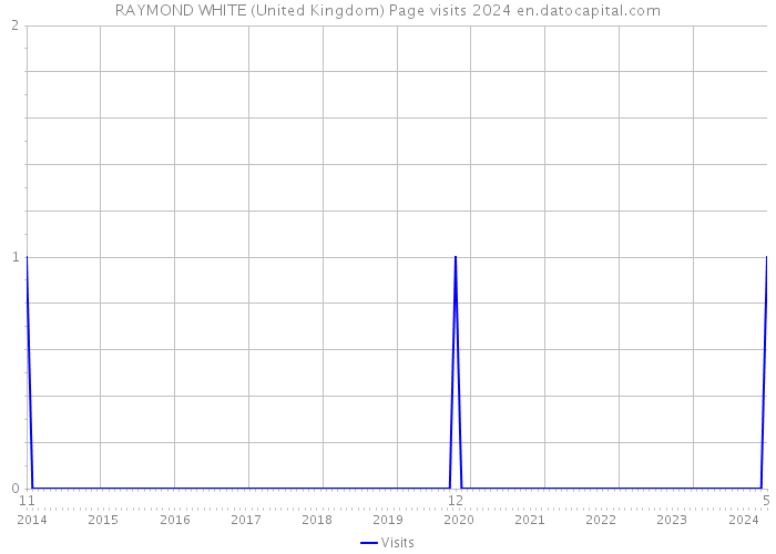 RAYMOND WHITE (United Kingdom) Page visits 2024 