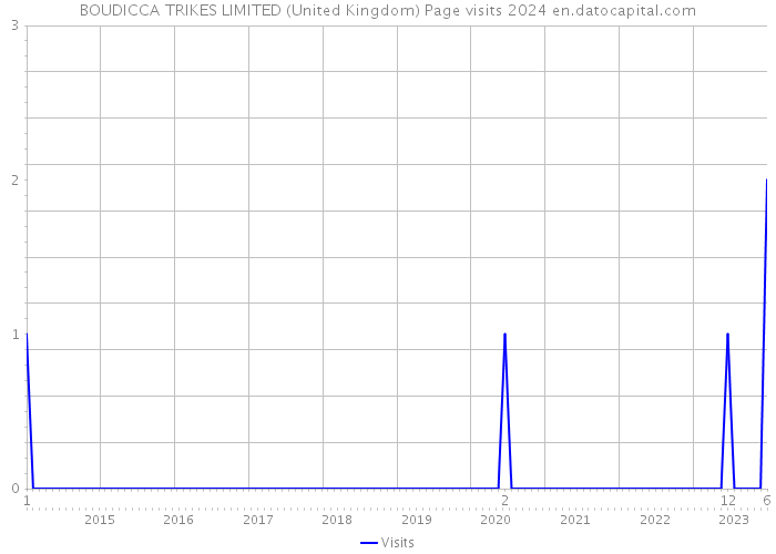 BOUDICCA TRIKES LIMITED (United Kingdom) Page visits 2024 