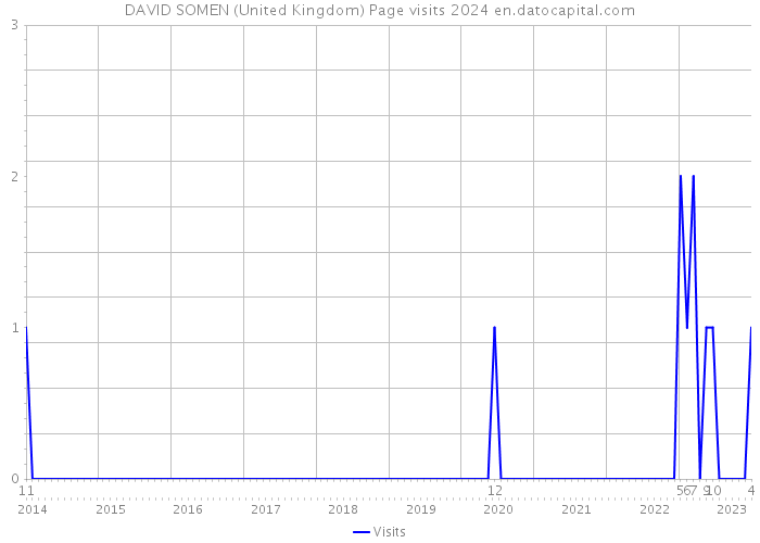 DAVID SOMEN (United Kingdom) Page visits 2024 
