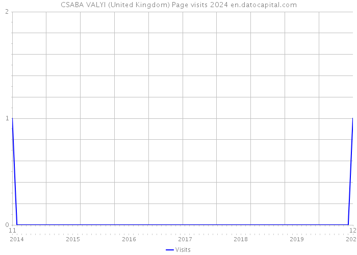 CSABA VALYI (United Kingdom) Page visits 2024 