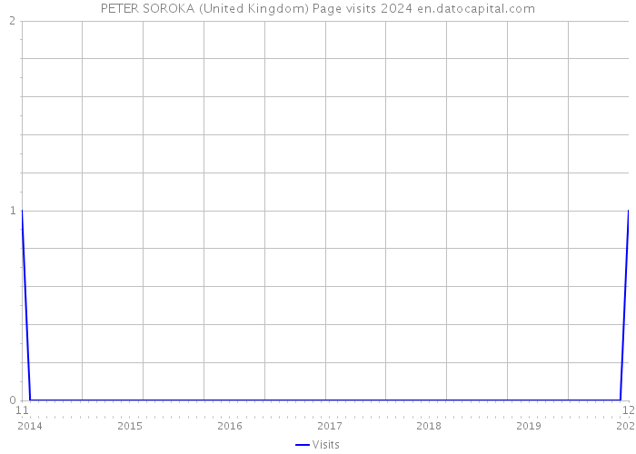 PETER SOROKA (United Kingdom) Page visits 2024 