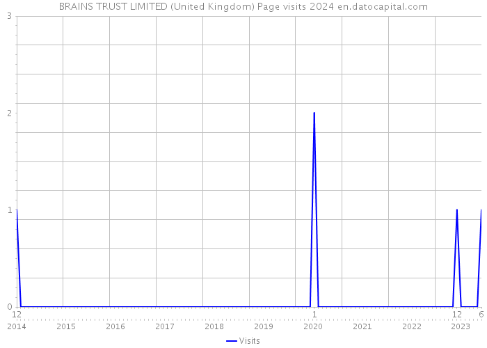 BRAINS TRUST LIMITED (United Kingdom) Page visits 2024 