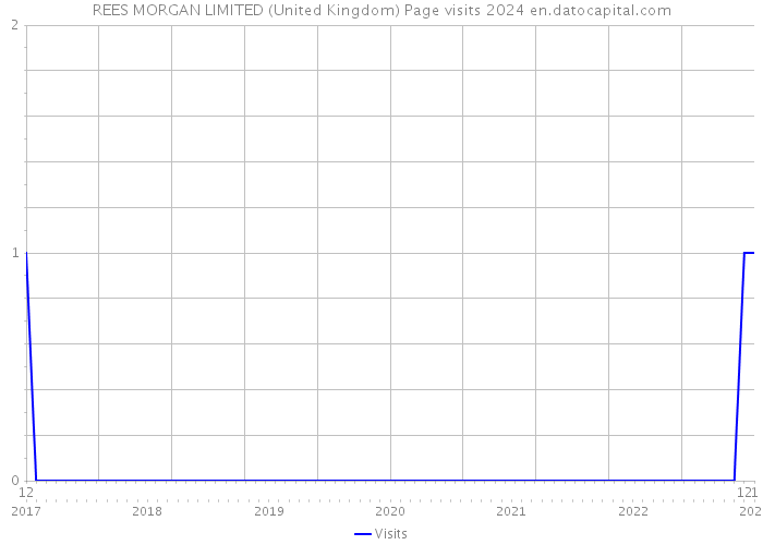 REES MORGAN LIMITED (United Kingdom) Page visits 2024 