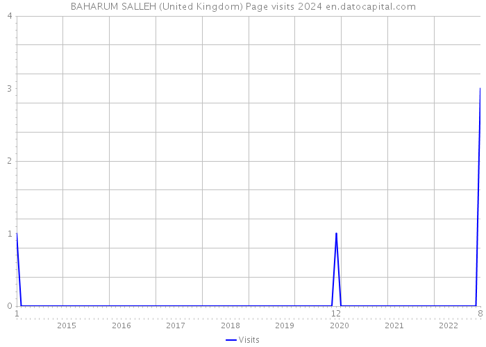 BAHARUM SALLEH (United Kingdom) Page visits 2024 