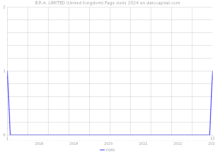 B.R.A. LIMITED (United Kingdom) Page visits 2024 
