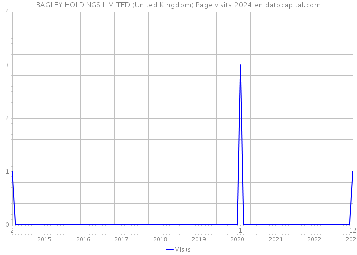 BAGLEY HOLDINGS LIMITED (United Kingdom) Page visits 2024 