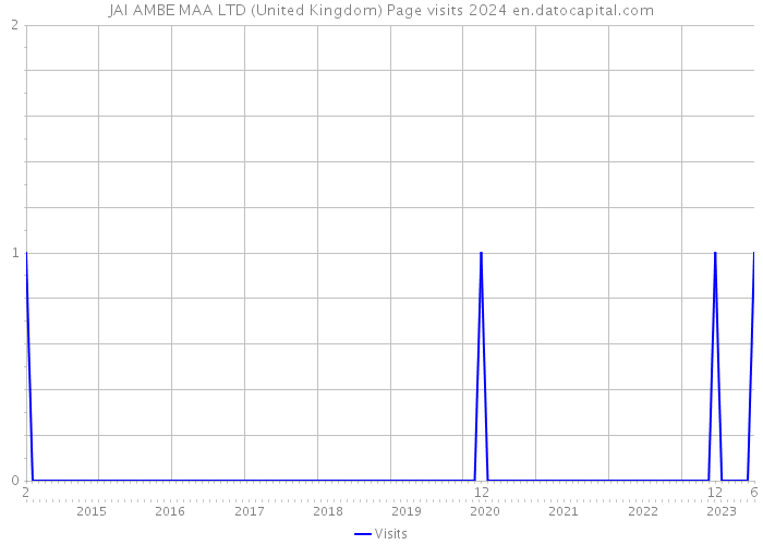 JAI AMBE MAA LTD (United Kingdom) Page visits 2024 