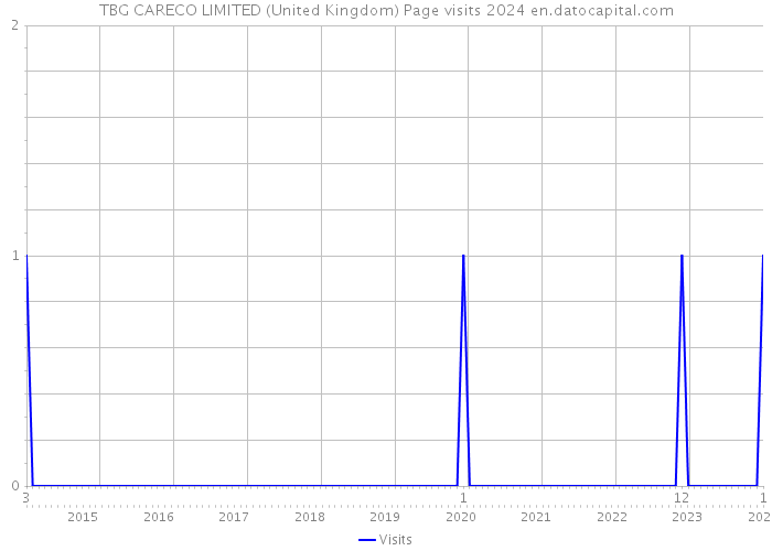 TBG CARECO LIMITED (United Kingdom) Page visits 2024 