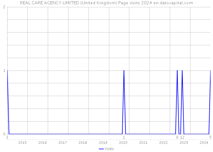 REAL CARE AGENCY LIMITED (United Kingdom) Page visits 2024 