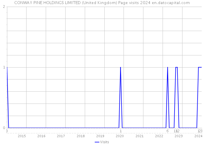 CONWAY PINE HOLDINGS LIMITED (United Kingdom) Page visits 2024 