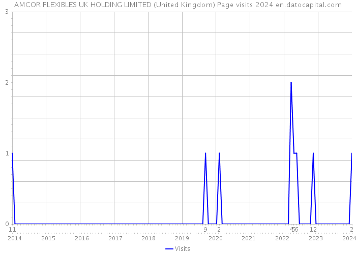AMCOR FLEXIBLES UK HOLDING LIMITED (United Kingdom) Page visits 2024 