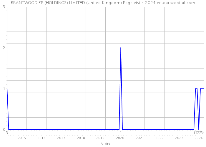 BRANTWOOD FP (HOLDINGS) LIMITED (United Kingdom) Page visits 2024 