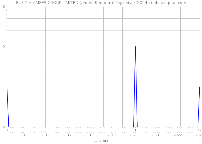 ENSIDIA AMBER GROUP LIMITED (United Kingdom) Page visits 2024 