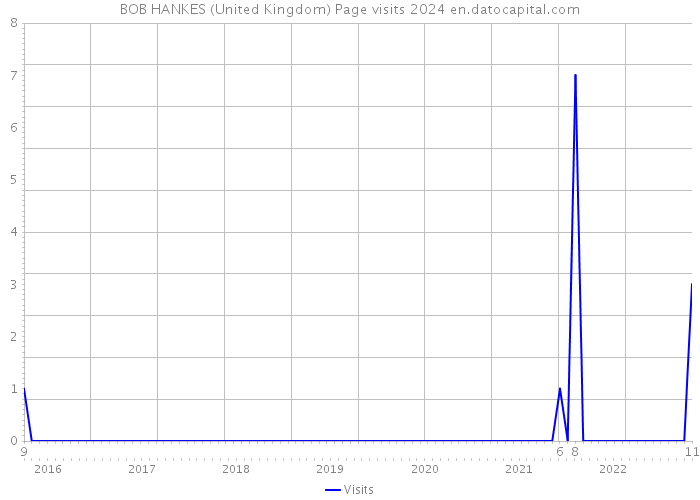 BOB HANKES (United Kingdom) Page visits 2024 