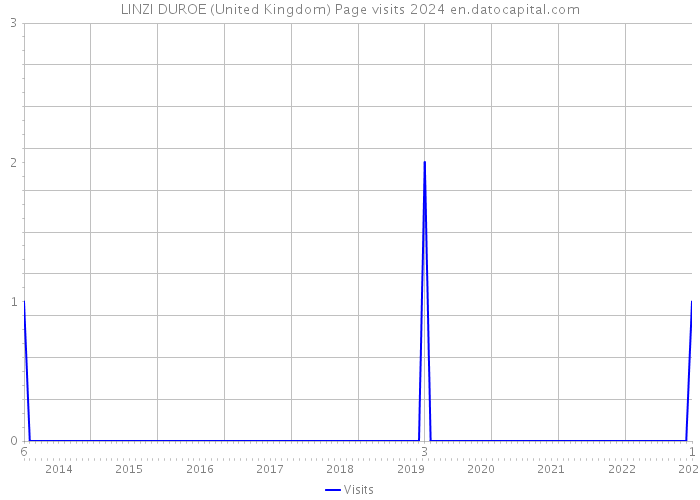 LINZI DUROE (United Kingdom) Page visits 2024 