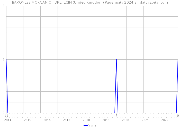 BARONESS MORGAN OF DREFECIN (United Kingdom) Page visits 2024 