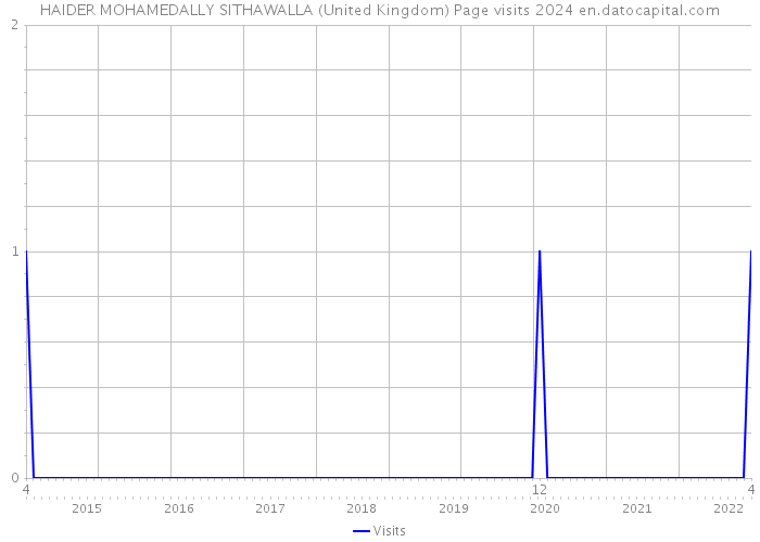 HAIDER MOHAMEDALLY SITHAWALLA (United Kingdom) Page visits 2024 