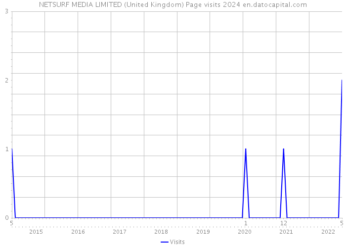 NETSURF MEDIA LIMITED (United Kingdom) Page visits 2024 