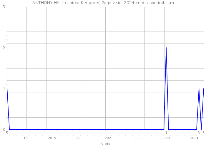 ANTHONY HALL (United Kingdom) Page visits 2024 