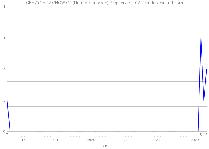 GRAZYNA LACHOWICZ (United Kingdom) Page visits 2024 