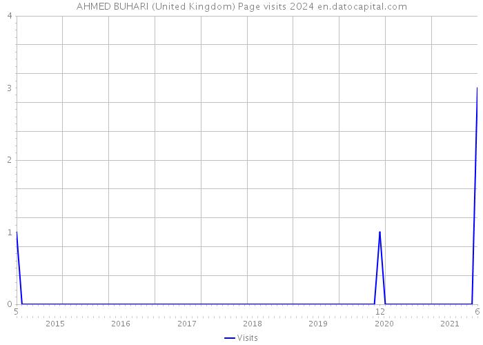 AHMED BUHARI (United Kingdom) Page visits 2024 