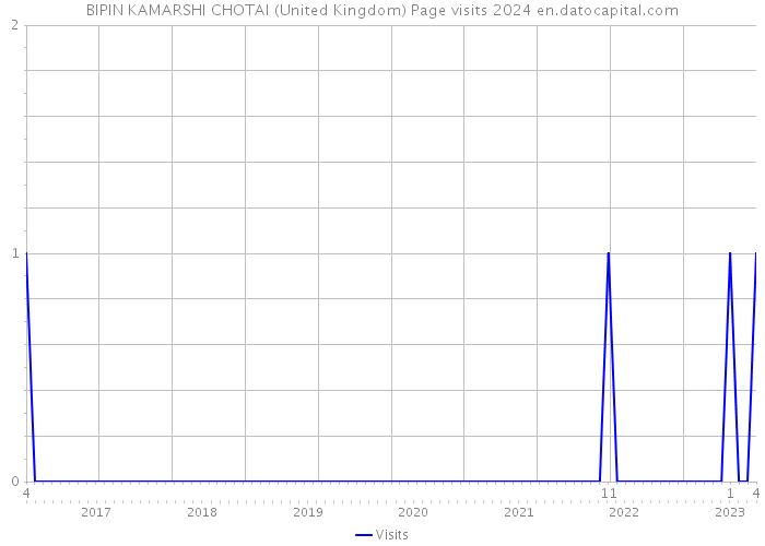 BIPIN KAMARSHI CHOTAI (United Kingdom) Page visits 2024 