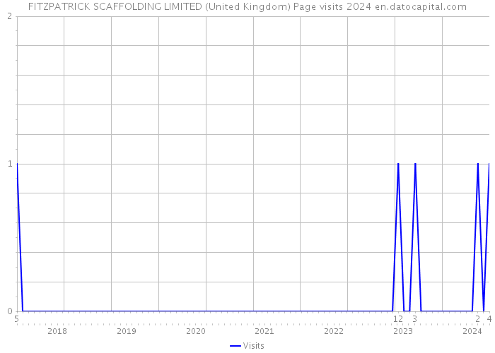 FITZPATRICK SCAFFOLDING LIMITED (United Kingdom) Page visits 2024 