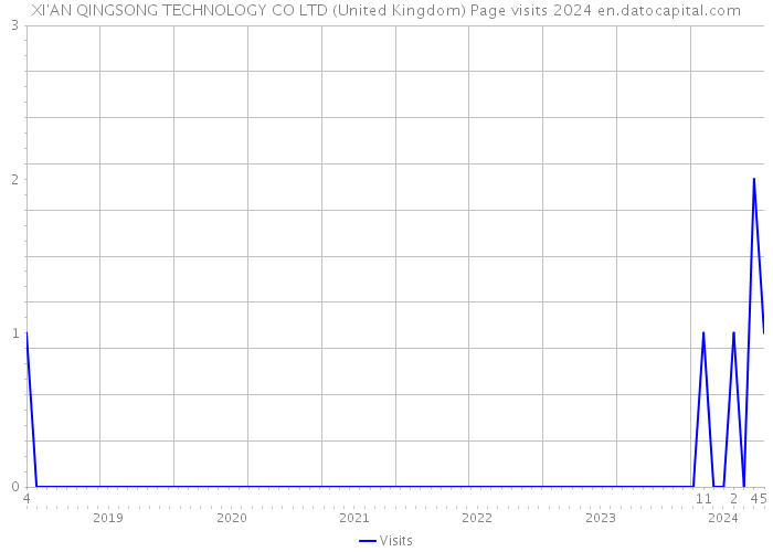 XI'AN QINGSONG TECHNOLOGY CO LTD (United Kingdom) Page visits 2024 