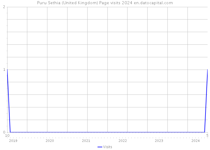 Puru Sethia (United Kingdom) Page visits 2024 