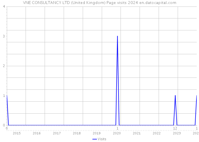 VNE CONSULTANCY LTD (United Kingdom) Page visits 2024 