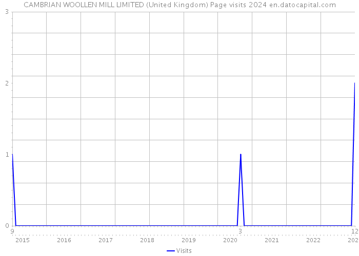 CAMBRIAN WOOLLEN MILL LIMITED (United Kingdom) Page visits 2024 